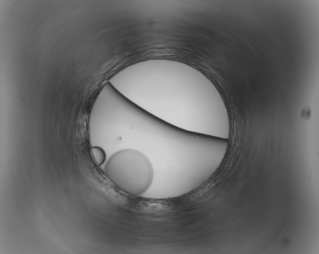 X0000111630475200907171133