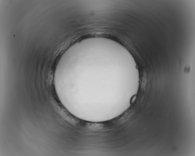 X0000111630476200907171133