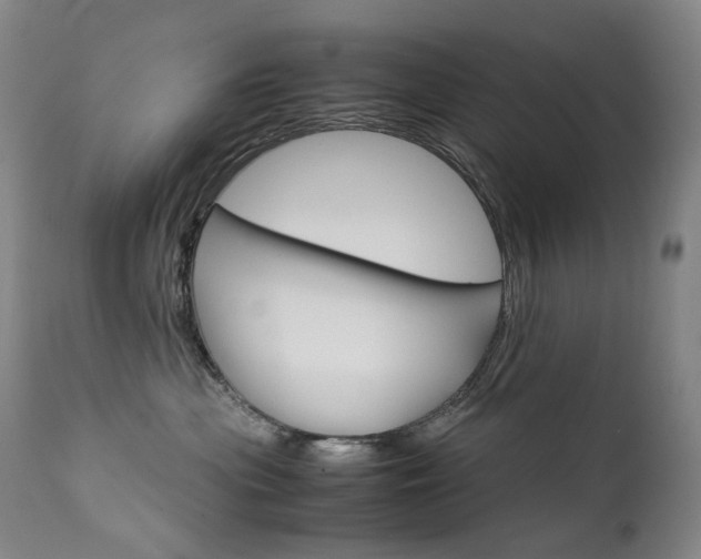 X0000111630477200907171133