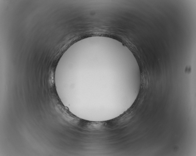 X0000111630479200907171133