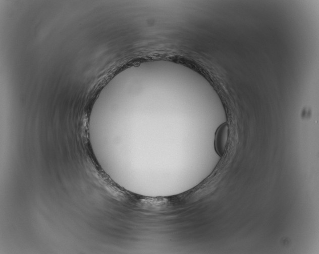 X0000111630480200907171133