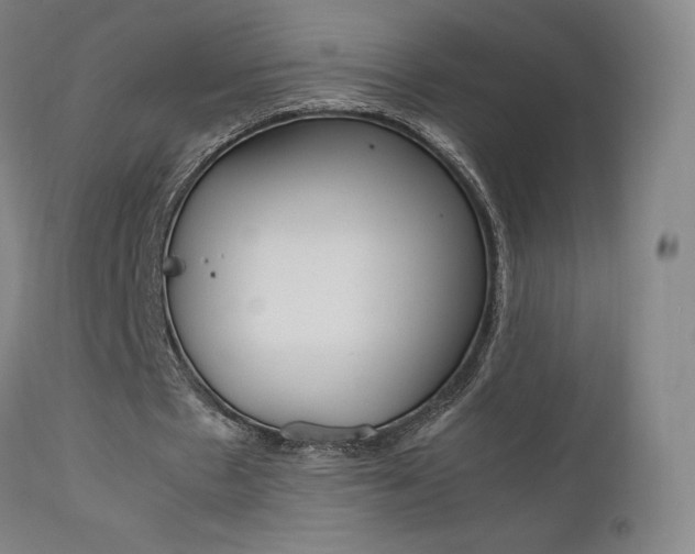 X0000111630481200907171133
