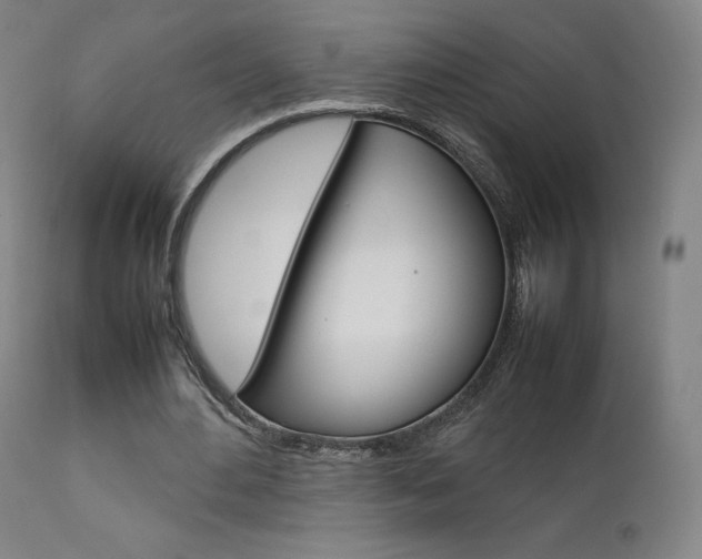 X0000111630484200907171132