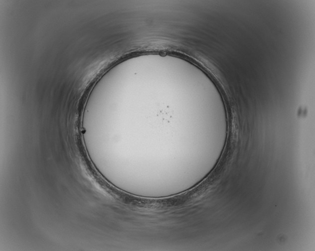 X0000111630485200907171132
