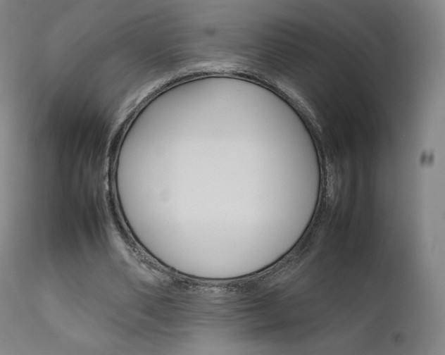 X0000111630486200907171132