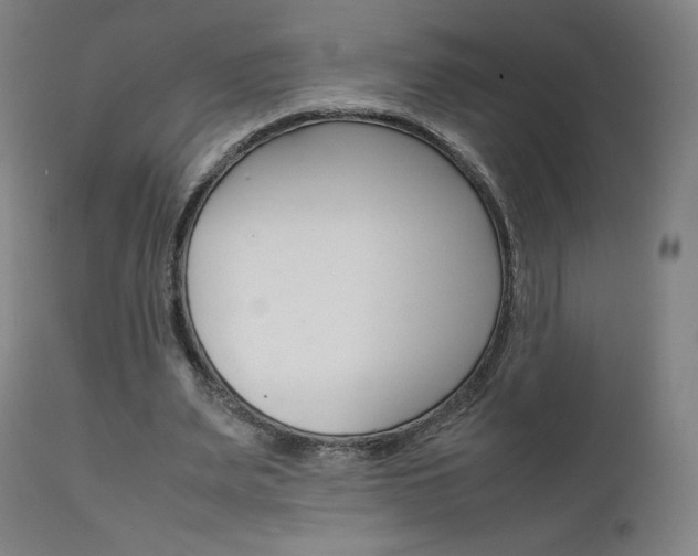 X0000111630487200907171132