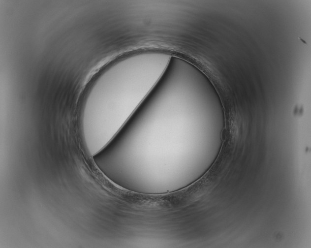 X0000111630488200907171132
