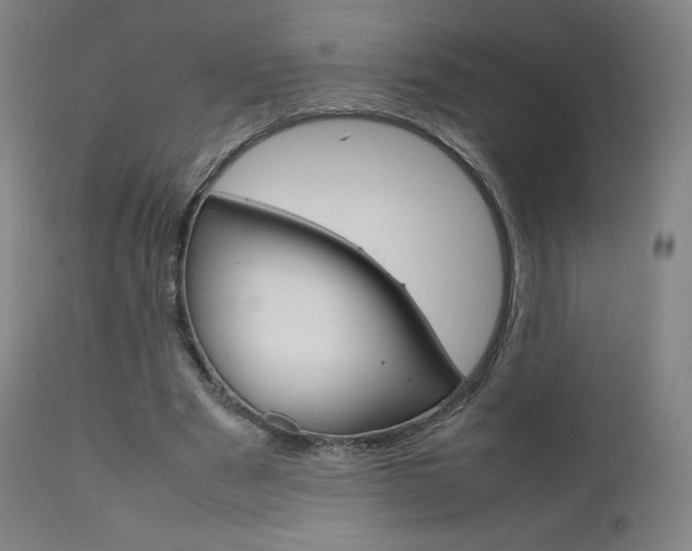 X0000111630489200907171132