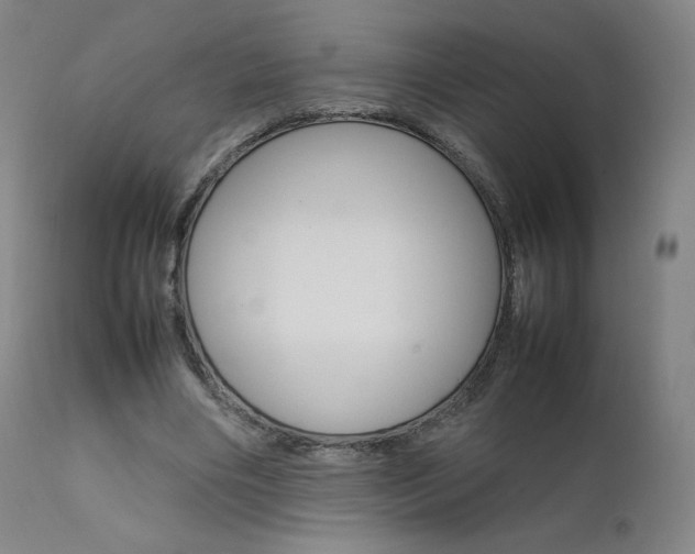 X0000111630490200907171132