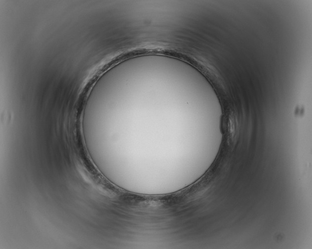 X0000111630492200907171132