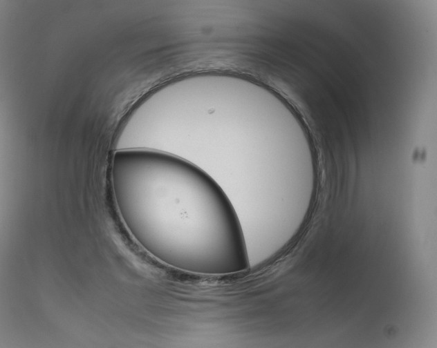 X0000111630493200907171132