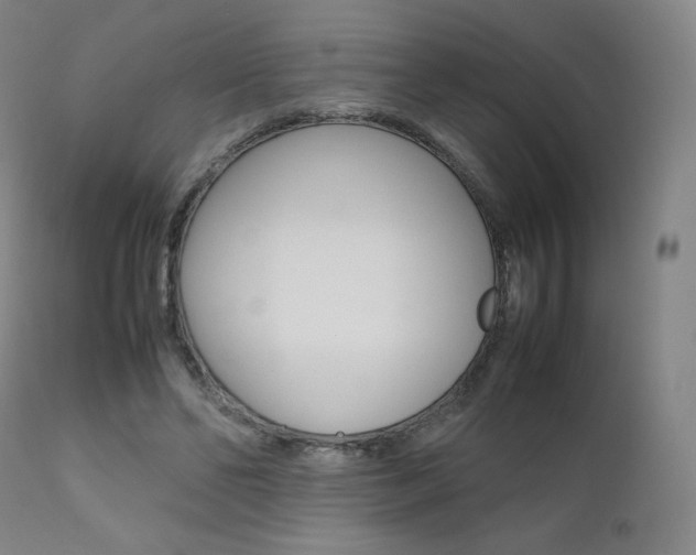 X0000111630494200907171132