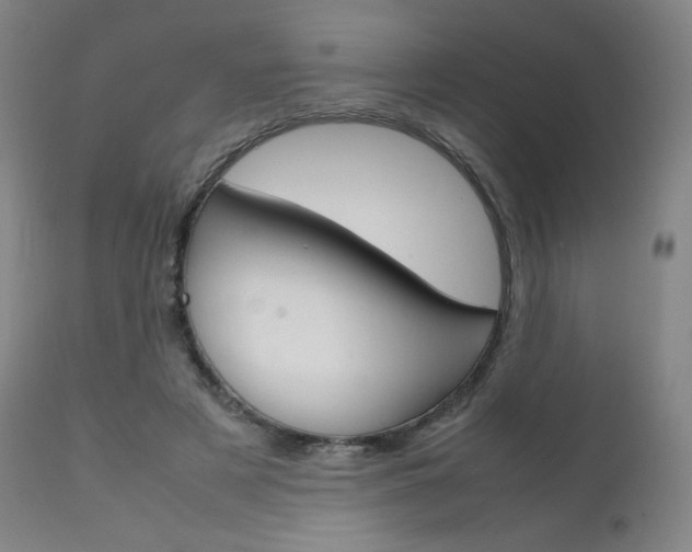X0000111630497200907171132