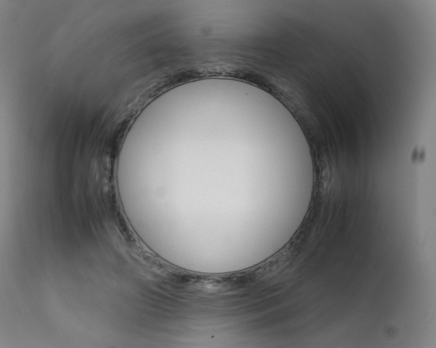 X0000111630498200907171132