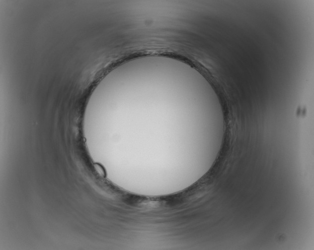 X0000111630499200907171132