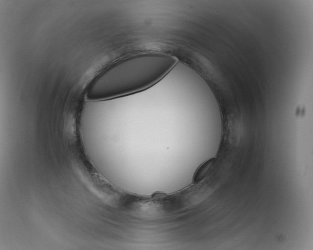 X0000111630500200907171132