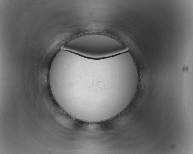 X0000111630501200907171132