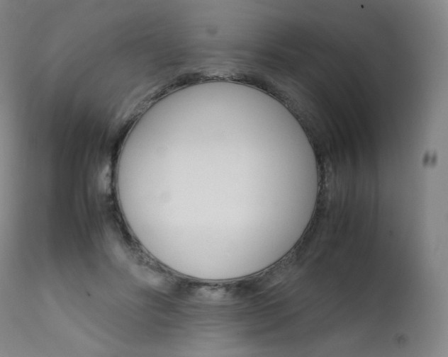 X0000111630502200907171132