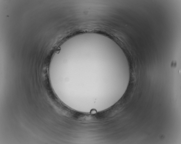 X0000111630503200907171132
