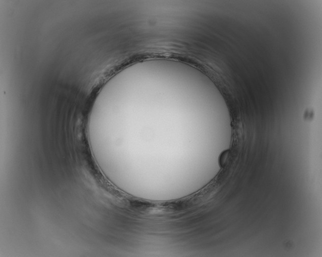 X0000111630504200907171132