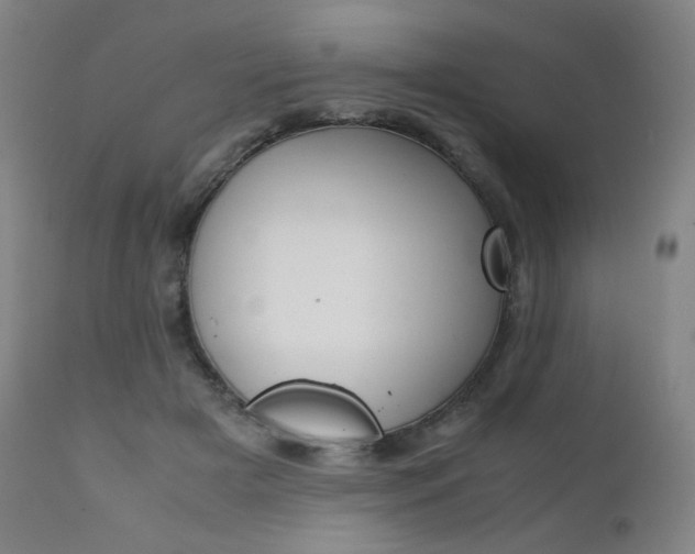X0000111630505200907171132