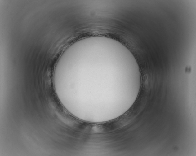 X0000111630506200907171132