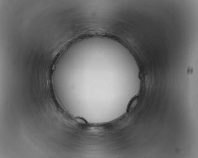 X0000111630508200907171132