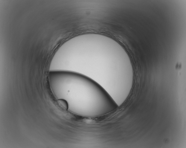 X0000111630509200907171132