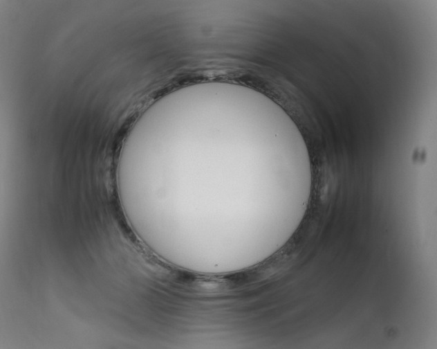 X0000111630510200907171132