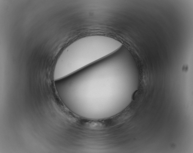 X0000111630512200907171132