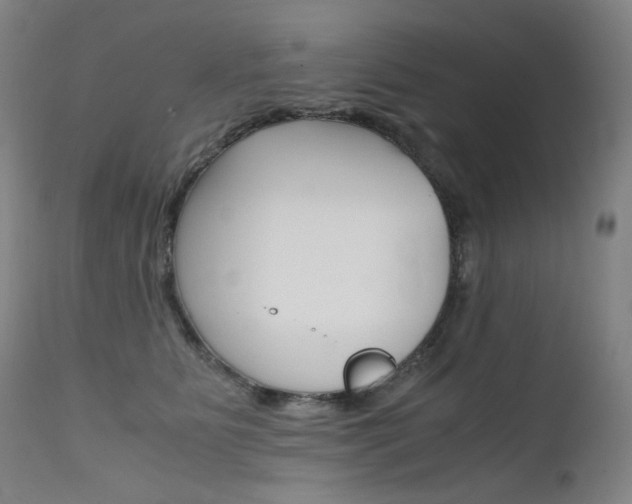 X0000111630515200907171132