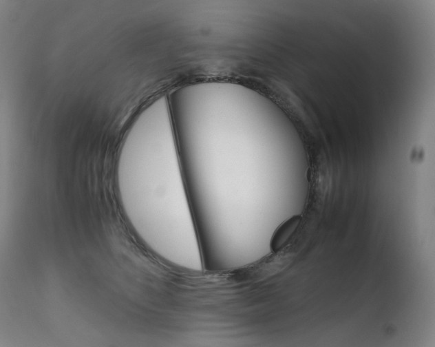 X0000111630516200907171132
