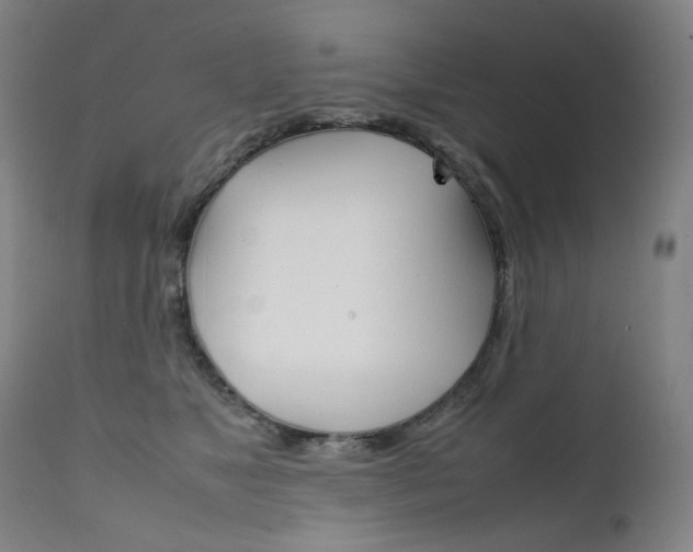 X0000111630517200907171132