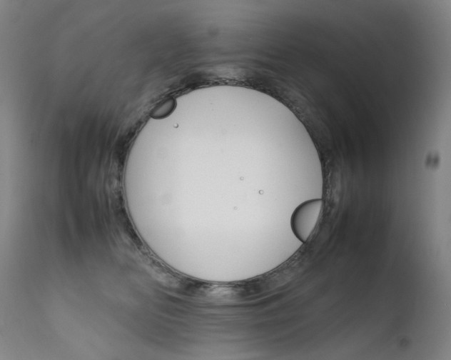 X0000111630518200907171132