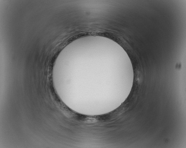 X0000111630519200907171132