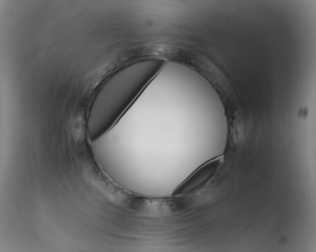 X0000111630520200907171132