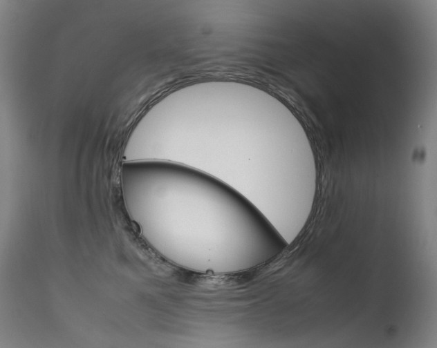 X0000111630521200907171132