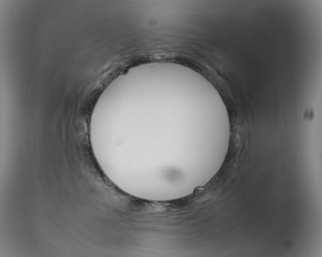 X0000111630523200907171132