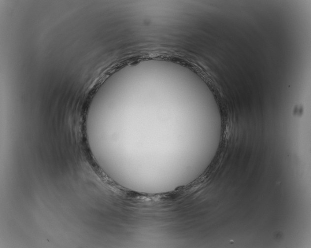 X0000111630524200907171132