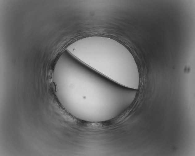 X0000111630525200907171132