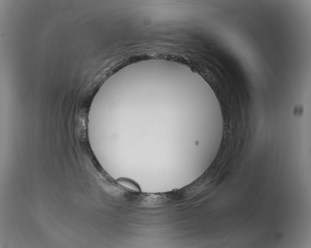 X0000111630527200907171132