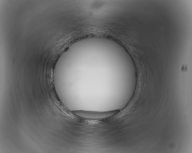 X0000111630528200907171132