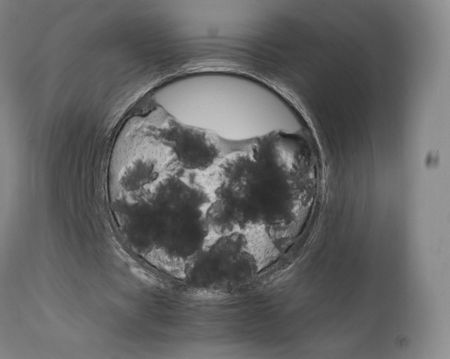 X0000111630529200907171131
