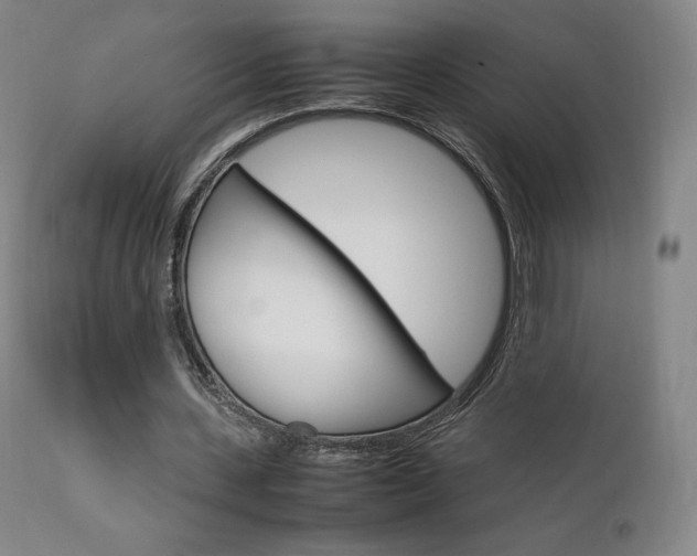 X0000111630531200907171131