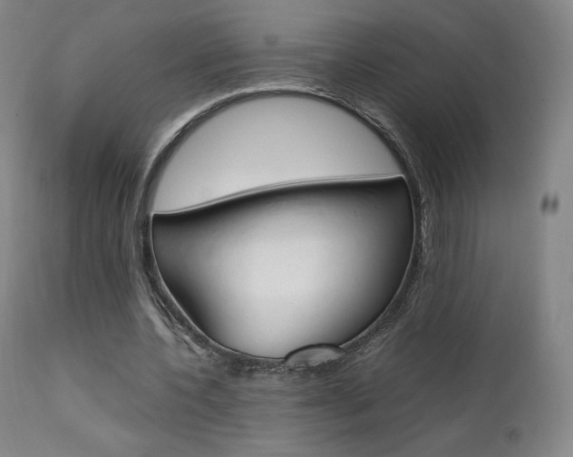 X0000111630532200907171131