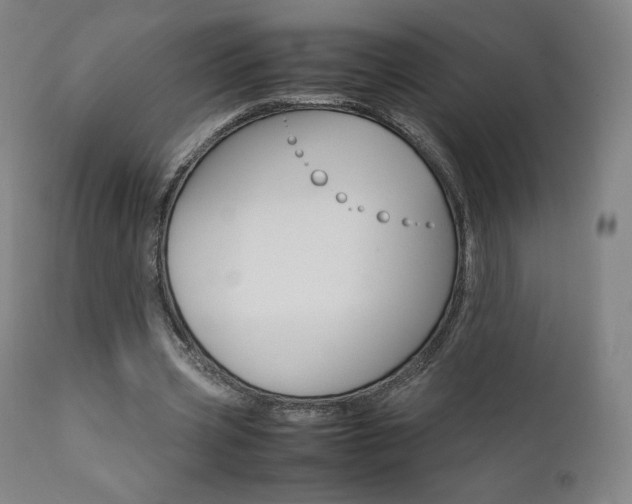 X0000111630533200907171131