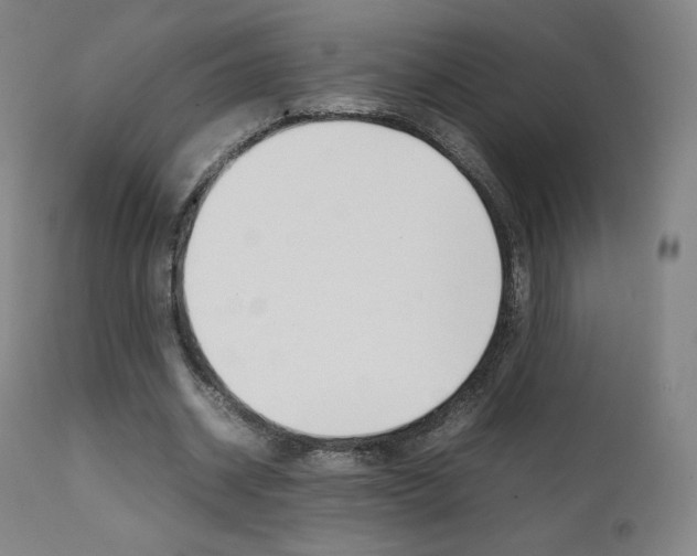 X0000111630534200907171131