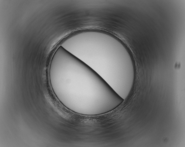 X0000111630535200907171131