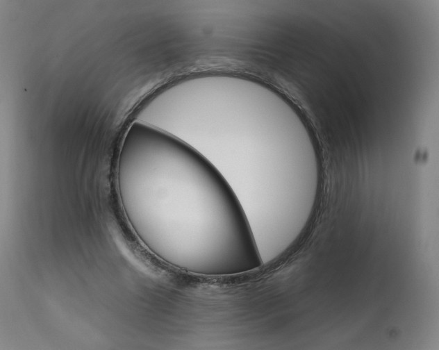 X0000111630538200907171131