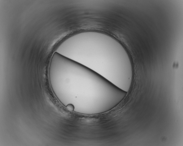 X0000111630539200907171131
